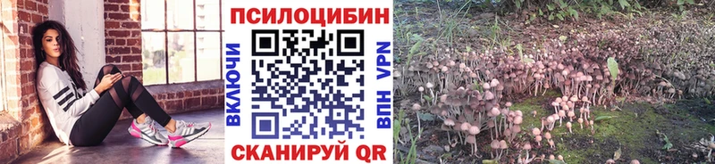Галлюциногенные грибы Cubensis Выкса